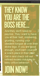 They know you are the boss here...